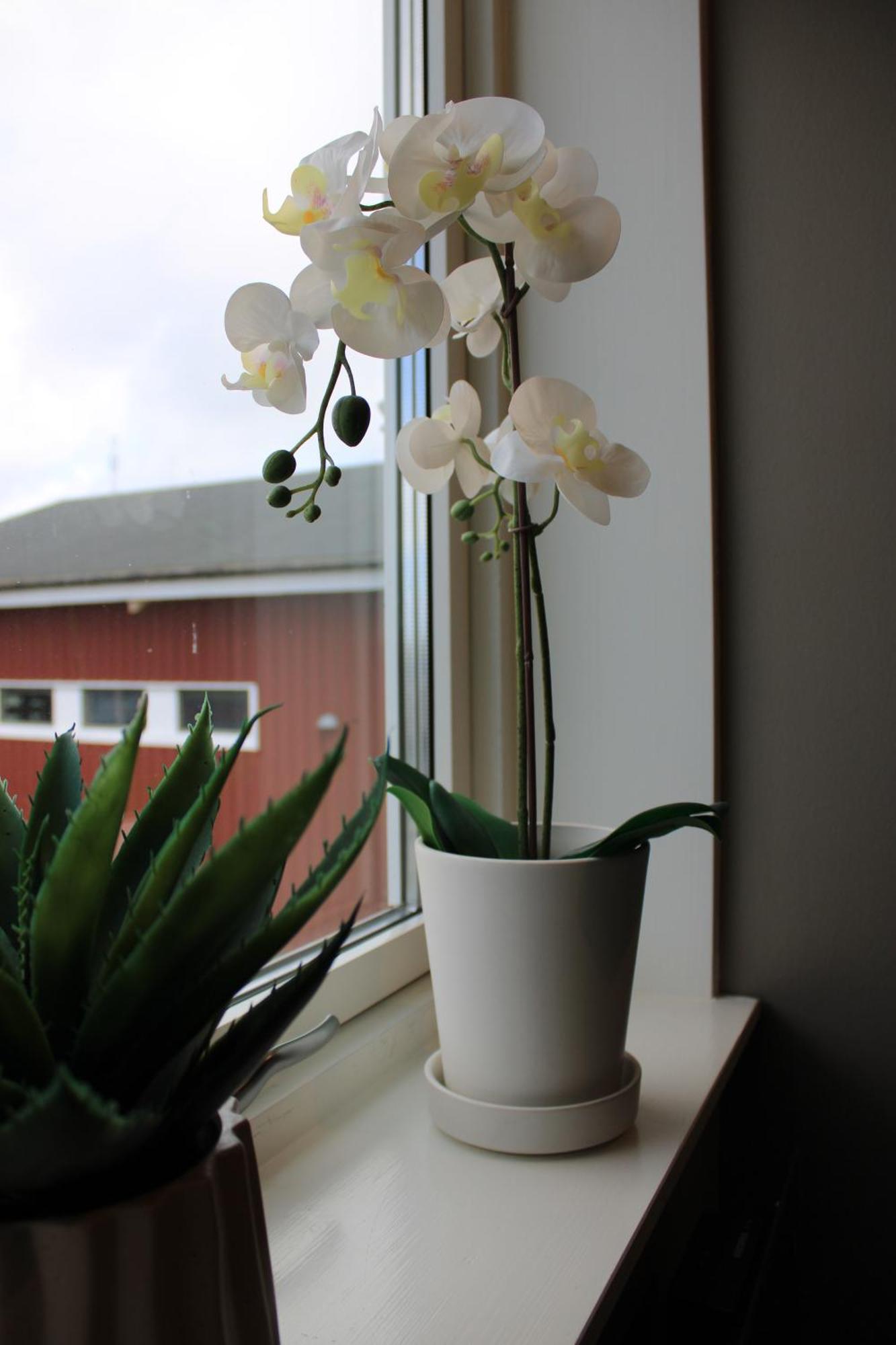 Apartmán Hamnhuset Bjoerkoe Bjorko  Exteriér fotografie